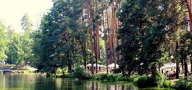 https://cdn1.pokupon.ua/uploaded/new_campaign_pictures/709555/data/main620x292/20915071_368583720228070_6522270623476272251_n20200707-6402-wsfdv220200727-30712-adp0yz.jpg?1595837887