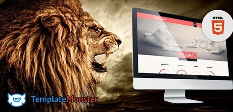 Все продукты компании Template Monster -10%