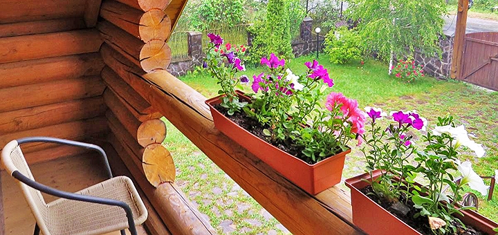https://cdn1.pokupon.ua/uploaded/new_campaign_pictures/712416/data/main720x340/73760279.jpg?1596727779