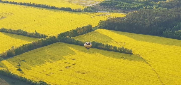 https://cdn1.pokupon.ua/uploaded/new_campaign_pictures/712497/data/main620x292/%D0%B8%D0%B7%D0%BE%D0%B1%D1%80%D0%B0%D0%B6%D0%B5%D0%BD%D0%B8%D0%B5_viber_2020-06-11_07-39-52120200806-6949-15gtzzh.jpg?1596745982