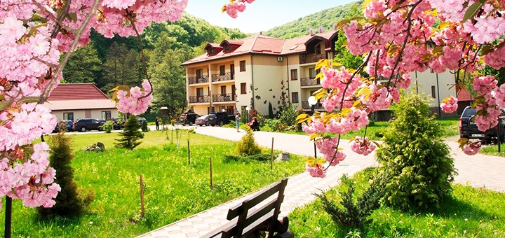 https://cdn1.pokupon.ua/uploaded/new_campaign_pictures/713495/data/main720x340/264186139.jpg?1597308671