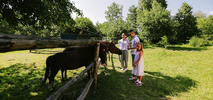 https://cdn1.pokupon.ua/uploaded/new_campaign_pictures/713506/data/main720x340/256317837.jpg?1597308673