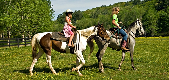 https://cdn1.pokupon.ua/uploaded/new_campaign_pictures/716103/data/main720x340/shutterstock_76872979.jpg?1598367058
