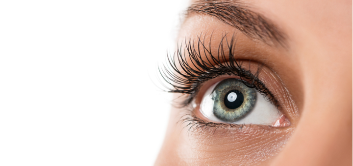 https://cdn1.pokupon.ua/uploaded/new_campaign_pictures/716211/data/main720x340/shutterstock_176457746.png?1598432002