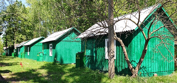 https://cdn1.pokupon.ua/uploaded/new_campaign_pictures/716859/data/main620x292/IMG_1246.JPG?1598619550
