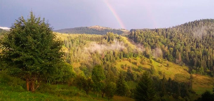 https://cdn1.pokupon.ua/uploaded/new_campaign_pictures/717063/data/main720x340/19758612520190919-4387-1vlnifg20200130-3340-vqonho20200520-31185-g182zw20200831-26266-164wnmq.jpg?1598864052