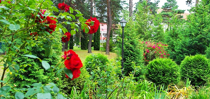 https://cdn1.pokupon.ua/uploaded/new_campaign_pictures/717921/data/main720x340/SAM_5601-768x512.jpg?1599124931
