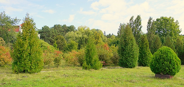 https://cdn1.pokupon.ua/uploaded/new_campaign_pictures/717930/data/main620x292/SAM1219.jpg?1599124934