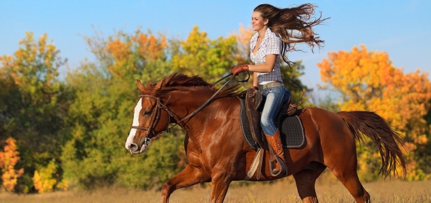 https://cdn1.pokupon.ua/uploaded/new_campaign_pictures/719465/data/main620x292/shutterstock_91032215.jpg?1599651690