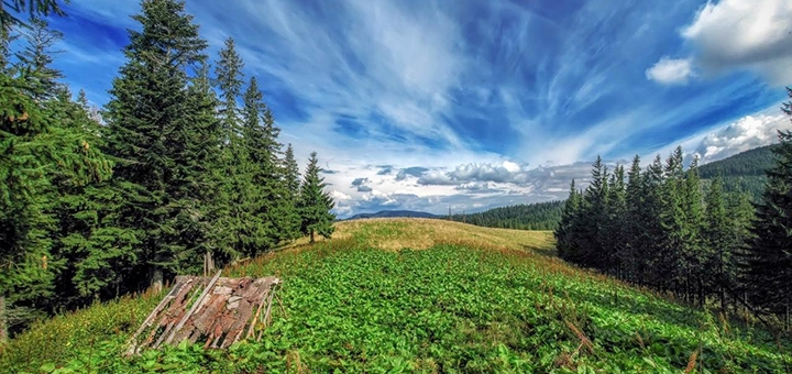 https://cdn1.pokupon.ua/uploaded/new_campaign_pictures/724139/data/main720x340/56970150.jpg?1601370132