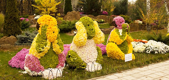 https://cdn1.pokupon.ua/uploaded/new_campaign_pictures/725391/data/main720x340/7dbab0860db5a76a7cb6ba142be9aab8.jpg?1601641435