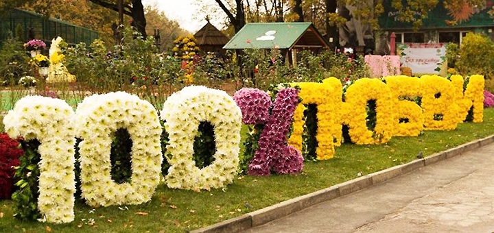 https://cdn1.pokupon.ua/uploaded/new_campaign_pictures/725398/data/main720x340/hriza.jpg?1601641437
