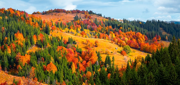 https://cdn1.pokupon.ua/uploaded/new_campaign_pictures/725866/data/main720x340/shutterstock_712509706.jpg?1601902916