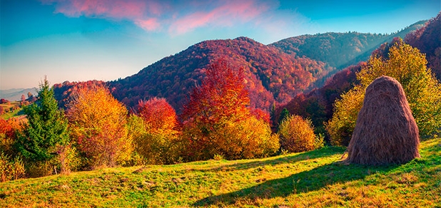 https://cdn1.pokupon.ua/uploaded/new_campaign_pictures/725867/data/main620x292/shutterstock_309068024.jpg?1601902916