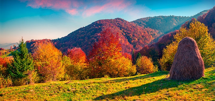 https://cdn1.pokupon.ua/uploaded/new_campaign_pictures/725867/data/main720x340/shutterstock_309068024.jpg?1601902916