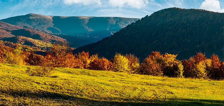 https://cdn1.pokupon.ua/uploaded/new_campaign_pictures/725868/data/main720x340/shutterstock_775473082.jpg?1601902916
