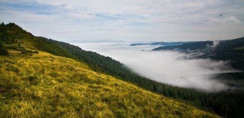 Поход в Карпаты "Черногорский хребет" до -20%