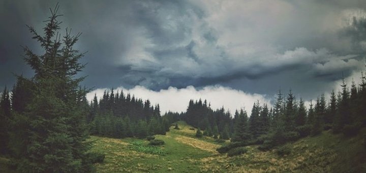https://cdn1.pokupon.ua/uploaded/new_campaign_pictures/72723/data/main720x340/3333.jpg?1465988367