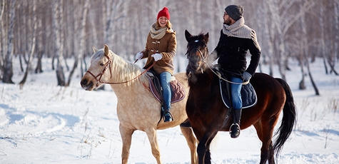 Horseback riding from the club "rosinant"