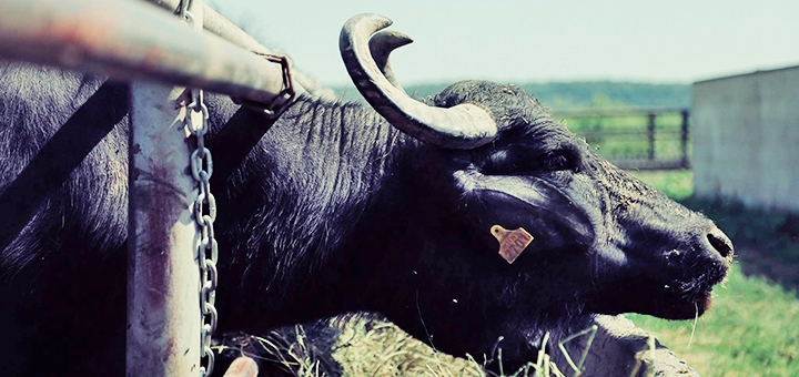 https://cdn1.pokupon.ua/uploaded/new_campaign_pictures/728738/data/main720x340/1-2.jpg?1602838312