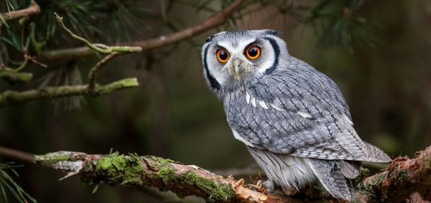 https://cdn1.pokupon.ua/uploaded/new_campaign_pictures/730502/data/main620x292/shutterstock_229895983.jpg?1603278620