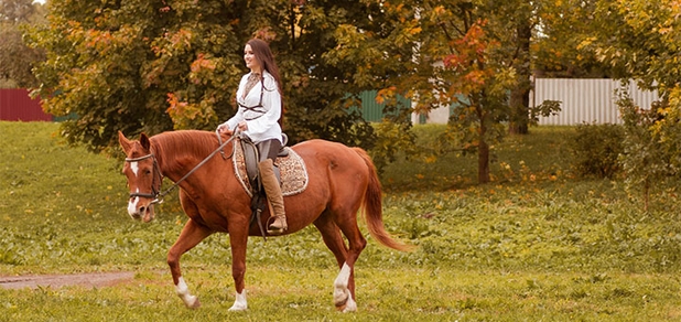 https://cdn1.pokupon.ua/uploaded/new_campaign_pictures/732275/data/main620x292/shutterstock_775023301.jpg?1603791253