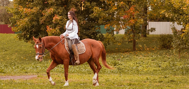 https://cdn1.pokupon.ua/uploaded/new_campaign_pictures/732275/data/main720x340/shutterstock_775023301.jpg?1603791253