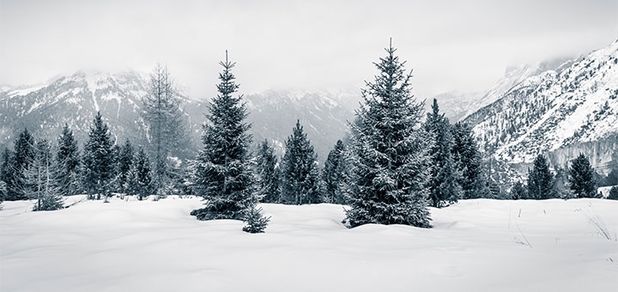 https://cdn1.pokupon.ua/uploaded/new_campaign_pictures/733226/data/main620x292/shutterstock_76472098320191211-1236-1pgsgnk20191211-3787-16elnxw20201029-19076-eazd2a.jpg?1603977810