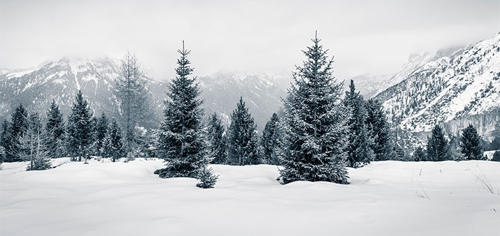 https://cdn1.pokupon.ua/uploaded/new_campaign_pictures/733226/data/main720x340/shutterstock_76472098320191211-1236-1pgsgnk20191211-3787-16elnxw20201029-19076-eazd2a.jpg?1603977810