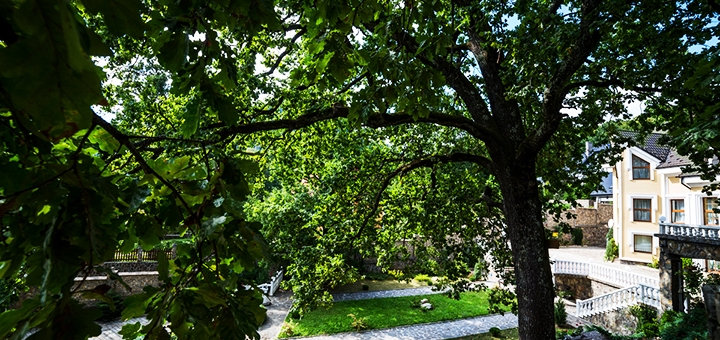 https://cdn1.pokupon.ua/uploaded/new_campaign_pictures/733600/data/main720x340/17_%D1%84%D0%BE%D1%82%D0%BE.jpg?1604066502