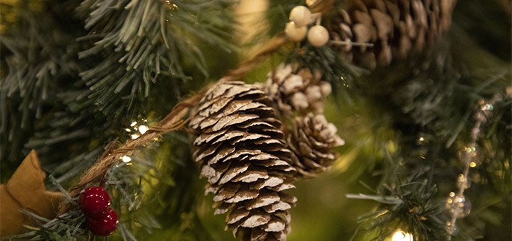 https://cdn1.pokupon.ua/uploaded/new_campaign_pictures/734295/data/main720x340/IMG_2258_2.jpg?1604475582