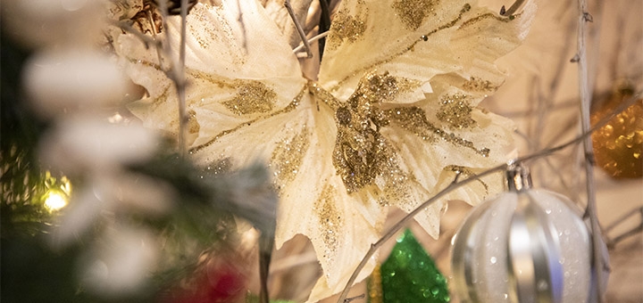 https://cdn1.pokupon.ua/uploaded/new_campaign_pictures/734297/data/main720x340/IMG_2261_2.jpg?1604475583