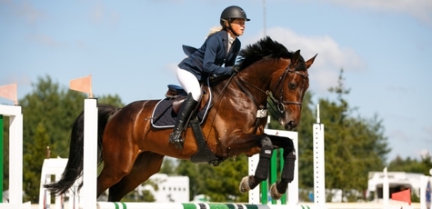 Знижка на прокат коней в «IloveMyHorse»