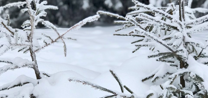 https://cdn1.pokupon.ua/uploaded/new_campaign_pictures/738983/data/main720x340/120181026-6518-1islc1020201118-17207-1arxsek.jpg?1605698111