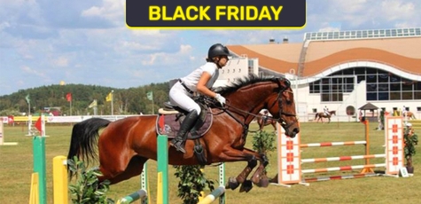 Скидка до 50% на прокат лошадей в «IloveMyHorse»