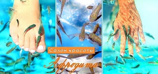 https://cdn1.pokupon.ua/uploaded/new_campaign_pictures/7424/data/main620x292/afrodita-large.jpg?1360083859