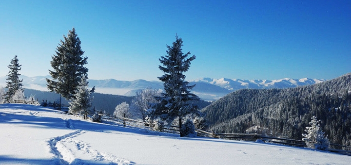 https://cdn1.pokupon.ua/uploaded/new_campaign_pictures/743360/data/main720x340/54247.jpg?1606924103