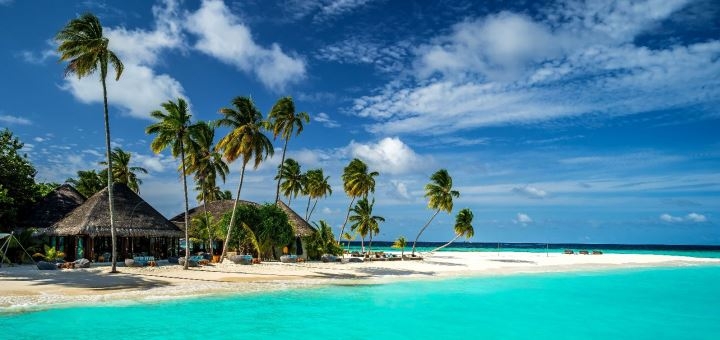 https://cdn1.pokupon.ua/uploaded/new_campaign_pictures/743900/data/main720x340/maldivy-tropiki-more-bungalo-3708.jpg?1607076583