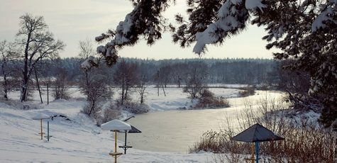 From 5 days at the base "forest fairy tale" near kiev