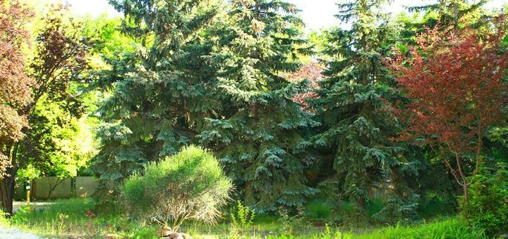 https://cdn1.pokupon.ua/uploaded/new_campaign_pictures/74687/data/main720x340/%D0%B3%D0%BB5.jpg?1467372169
