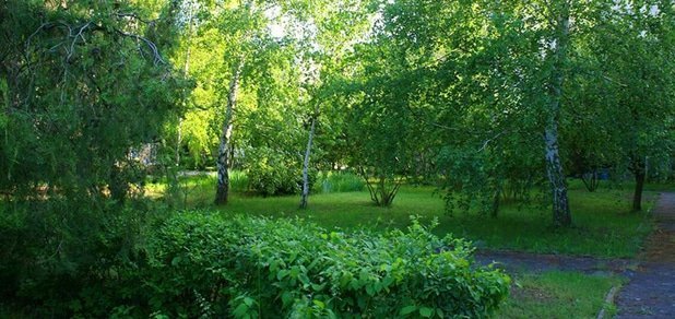 https://cdn1.pokupon.ua/uploaded/new_campaign_pictures/74689/data/main620x292/%D0%B3%D0%BB7.jpg?1467372315