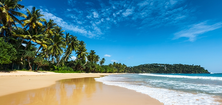 https://cdn1.pokupon.ua/uploaded/new_campaign_pictures/747509/data/main720x340/shutterstock_240373141.jpg?1608552530