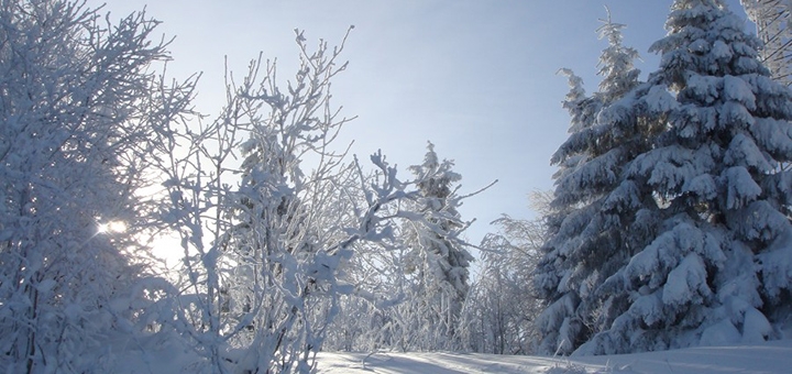 https://cdn1.pokupon.ua/uploaded/new_campaign_pictures/747984/data/main720x340/54b6c79d56a2e20201223-3775-2d4z9620201223-4433-74o3to.jpg?1608707896