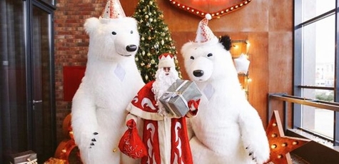 Animator in a bear costume for your holiday
