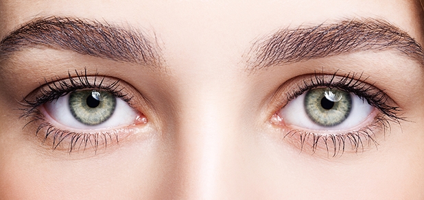 https://cdn1.pokupon.ua/uploaded/new_campaign_pictures/749011/data/main620x292/shutterstock_326798987.jpg?1609324624