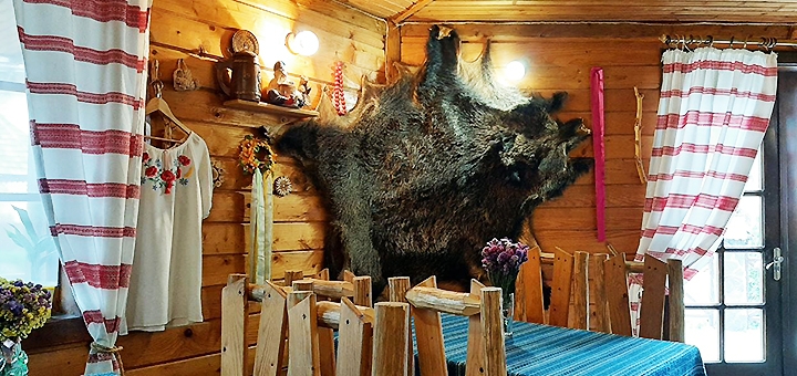 https://cdn1.pokupon.ua/uploaded/new_campaign_pictures/749400/data/main720x340/photo529180748620822533020210104-28863-ogyx1c.jpg?1609748361