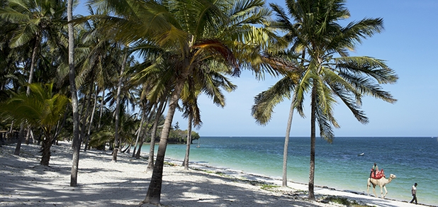 https://cdn1.pokupon.ua/uploaded/new_campaign_pictures/751417/data/main620x292/shutterstock_131214623.jpg?1610812253