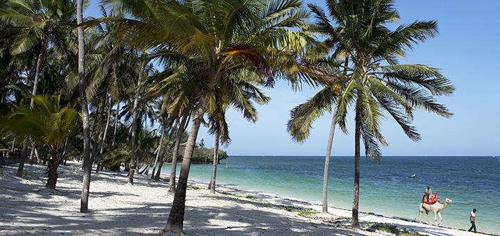 https://cdn1.pokupon.ua/uploaded/new_campaign_pictures/751417/data/main720x340/shutterstock_131214623.jpg?1610812253