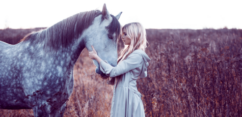 Up to 50% discount on horse rental for a photo shoot