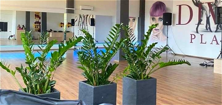 

До 8 занятий танцами в студии «DIVAS PLACE»
